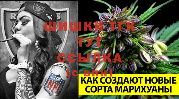 СК Алексеевка
