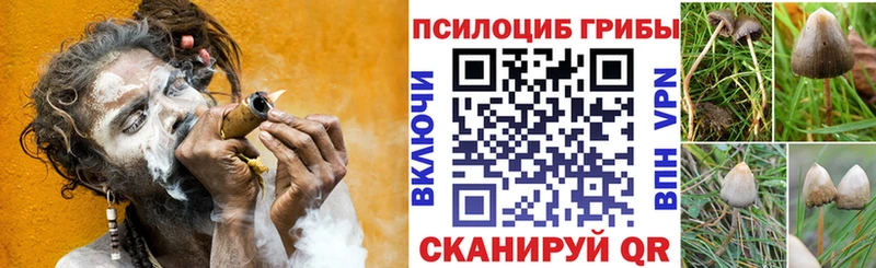 Псилоцибиновые грибы Magic Shrooms  нарко площадка наркотические препараты  Обоянь 